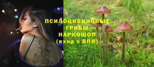 каннабис Алексин