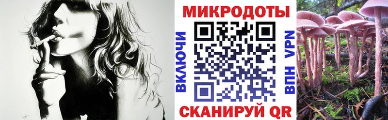 Галлюциногенные грибы Cubensis  даркнет сайт  кракен вход  Владивосток 