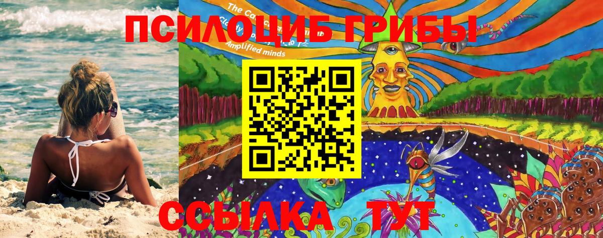 Псилоцибиновые грибы Magic Shrooms  Вход с VPN  где можно купить   Владивосток 