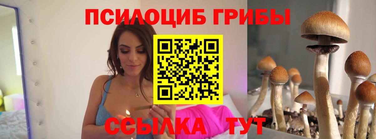 Меф   Кокаин  Конопля  Вход с VPN  Владивосток  Канабис  A-PVP СОЛЬ  